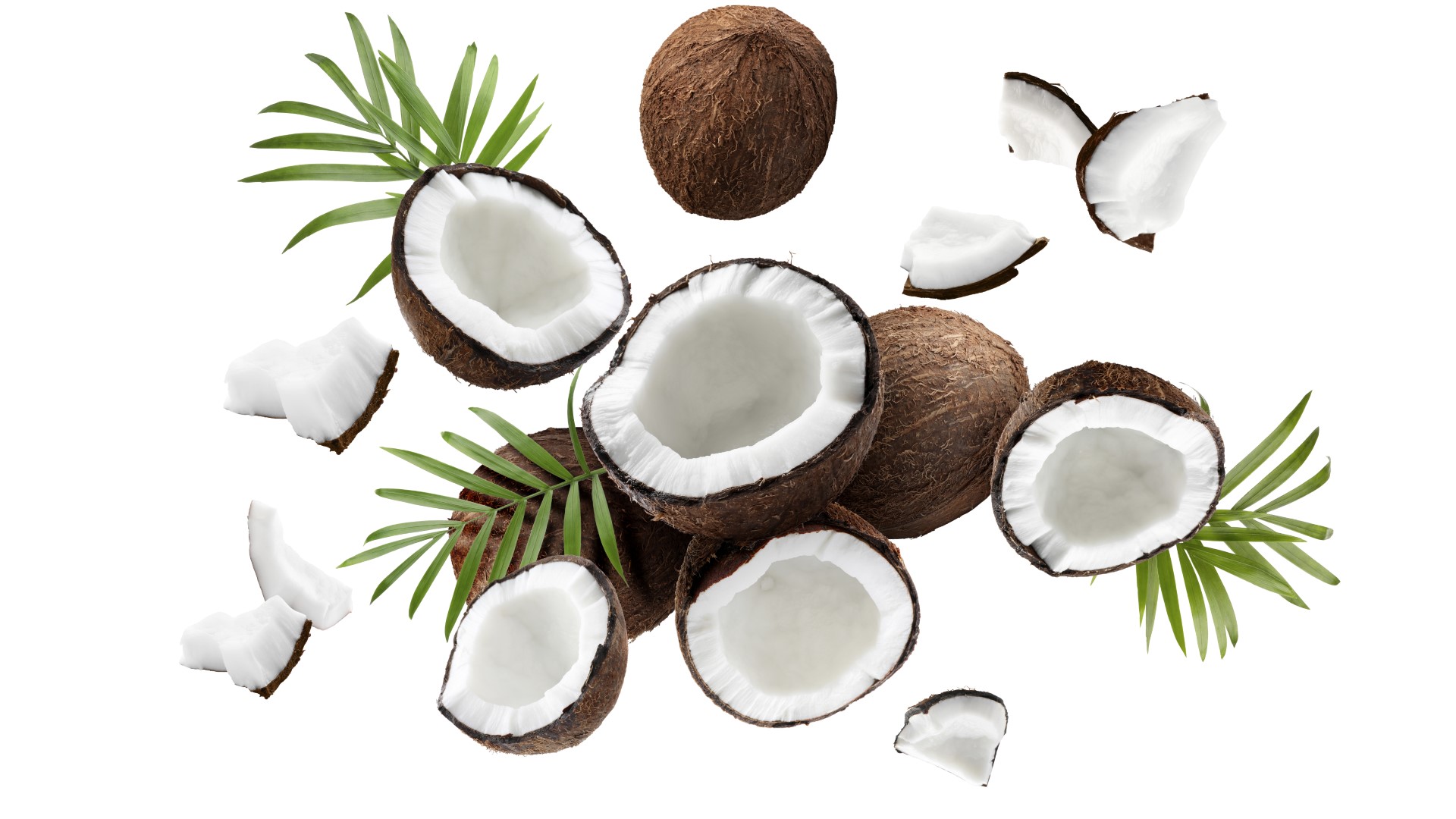 Coconuts and green leaves falling on white background